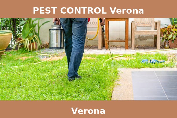 PEST CONTROL Verona